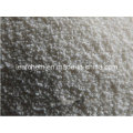 GMP Coated Sodium Butyrate 30% 50% 90%